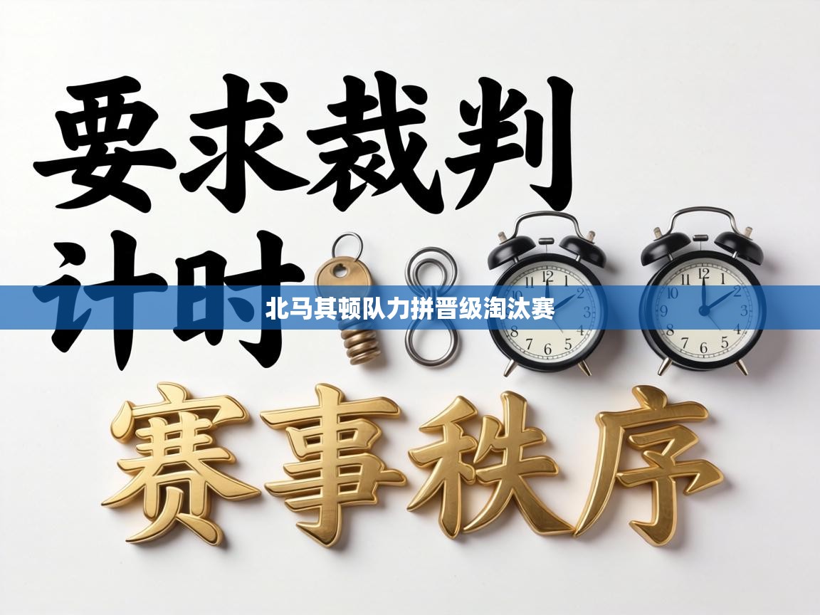 北马其顿队力拼晋级淘汰赛 第2张